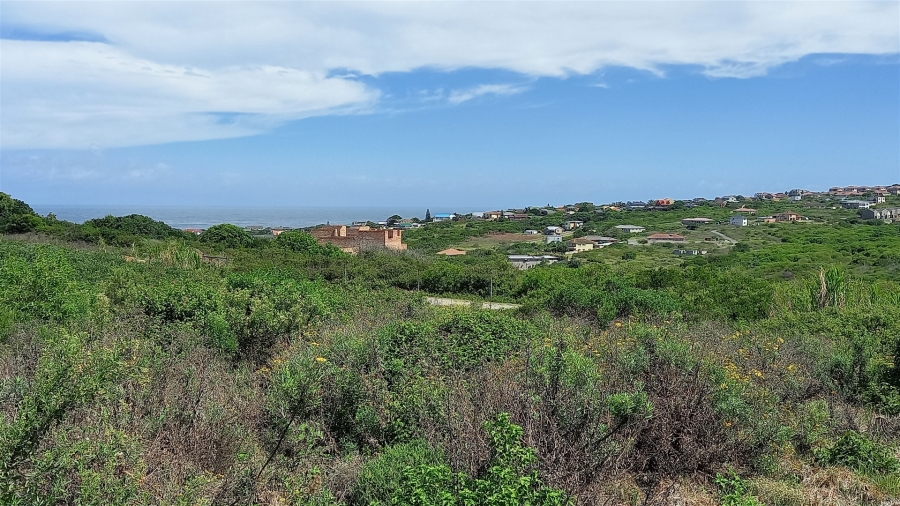 0 Bedroom Property for Sale in Forest Downs Eastern Cape